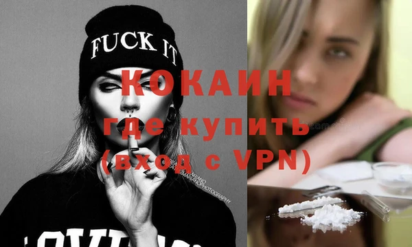 индика Армянск