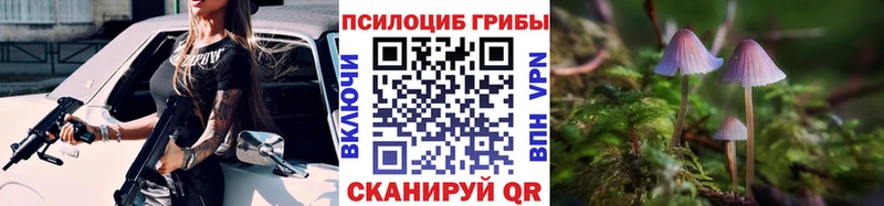купить  сайты  Свирск  Псилоцибиновые грибы ЛСД 